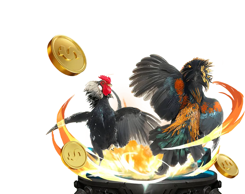 Trưng bày các trò chơi casino và đá gà trực tiếp