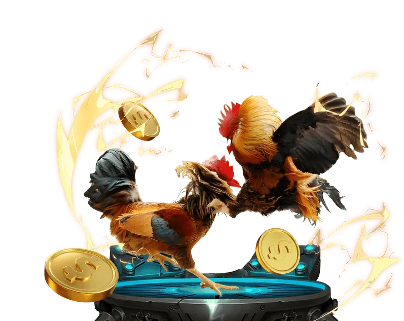 Hình ảnh đá gà truyền thống